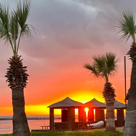 In Bafra Northern Cyprus Daire Vokolidha