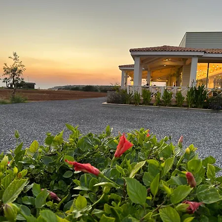 In Bafra Northern Cyprus Daire