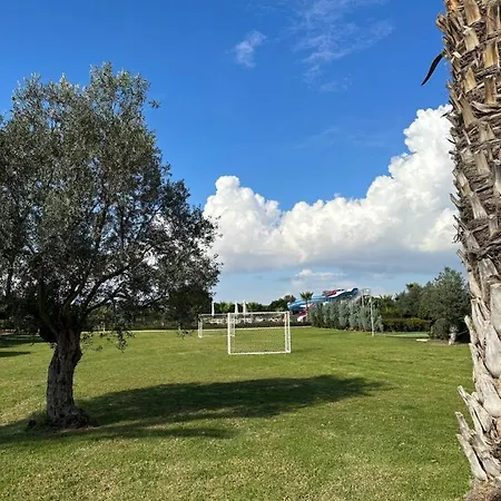 In Bafra Northern Cyprus