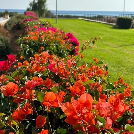 In Bafra Northern Cyprus 公寓 *