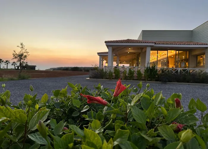 Apartament In Bafra Northern Cyprus