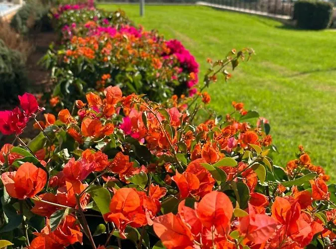 In Bafra Northern Cyprus Apartmán *